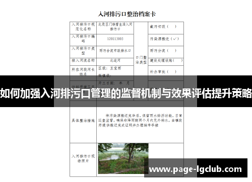 如何加强入河排污口管理的监督机制与效果评估提升策略