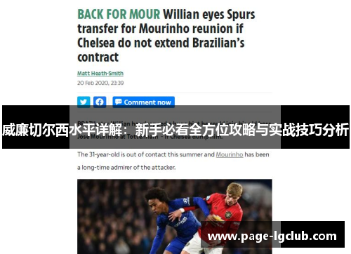 威廉切尔西水平详解：新手必看全方位攻略与实战技巧分析