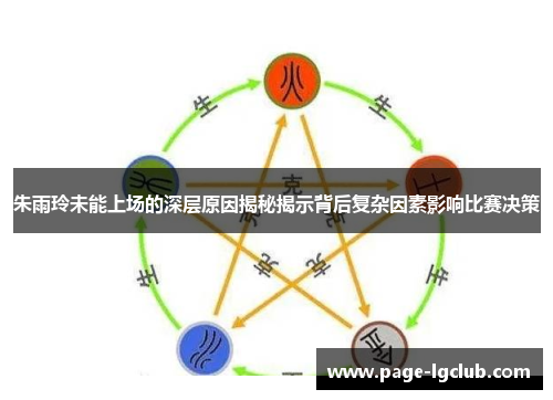 朱雨玲未能上场的深层原因揭秘揭示背后复杂因素影响比赛决策