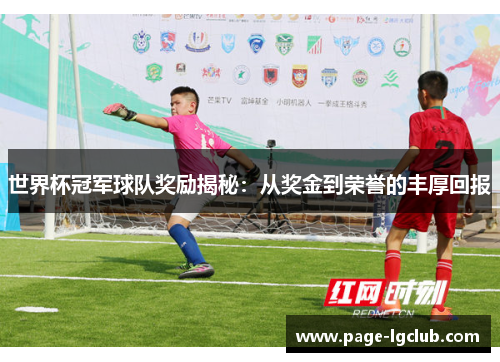 世界杯冠军球队奖励揭秘：从奖金到荣誉的丰厚回报