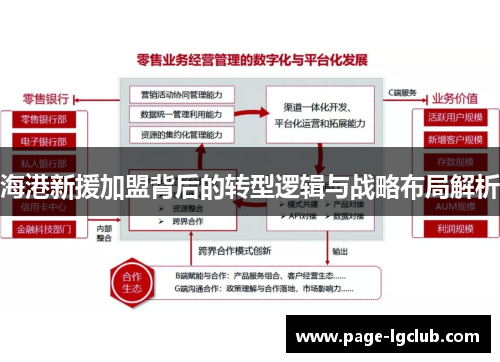 海港新援加盟背后的转型逻辑与战略布局解析