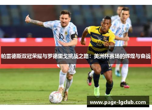 帕雷德斯双冠荣耀与罗德里戈挑战之路：美洲杯赛场的辉煌与奋战