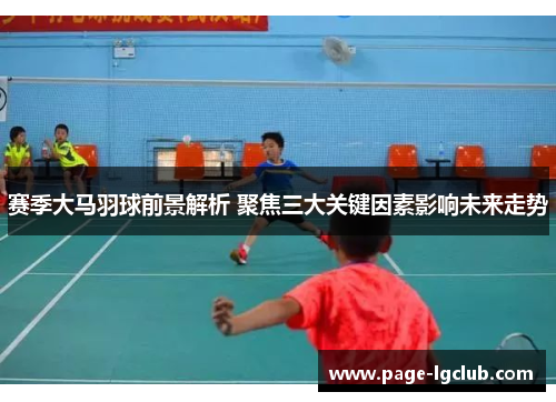 赛季大马羽球前景解析 聚焦三大关键因素影响未来走势