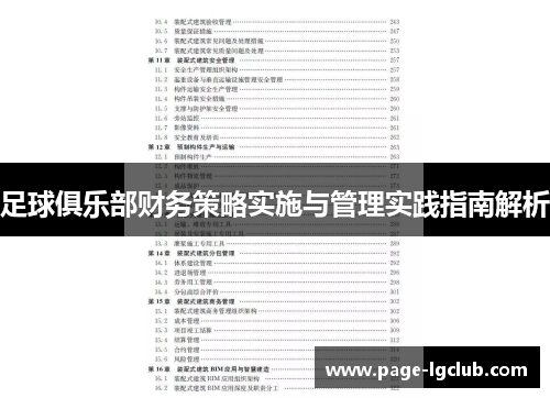 足球俱乐部财务策略实施与管理实践指南解析 足球俱乐部财务策略实施与管理实践指南解析